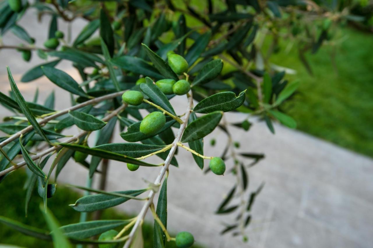 Olive 101 Lejlighed Peraía Eksteriør billede